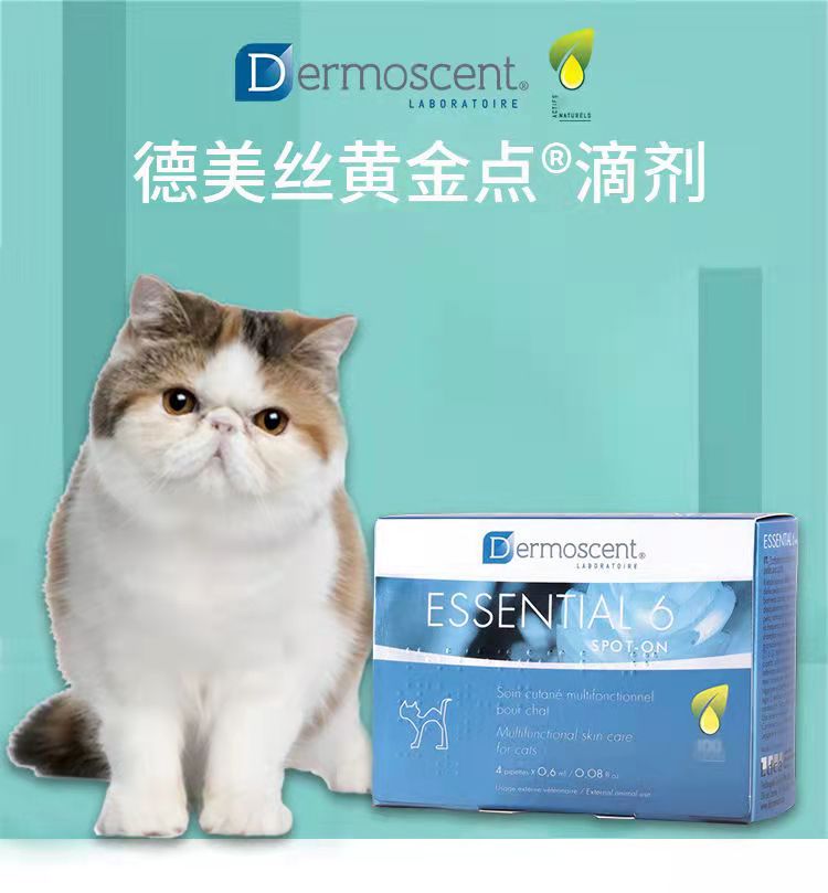 dermascent德美丝黄金点滴剂宠物猫咪狗狗皮肤病皮屑法国修复滋养皮肤