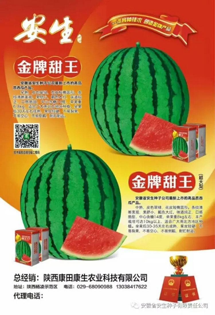 安生甜王西瓜种子甜王0号高品质瓜种早熟含糖14大红瓤1000粒