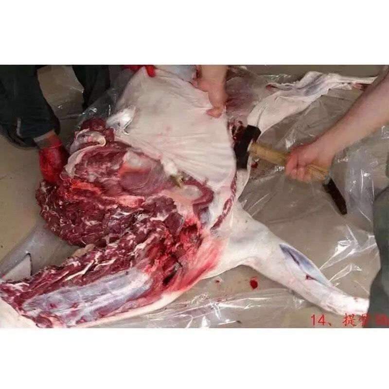 新鲜鹿肉正宗东北梅花鹿现杀整只白条鹿生鲜多规格斤数联系客服佑达