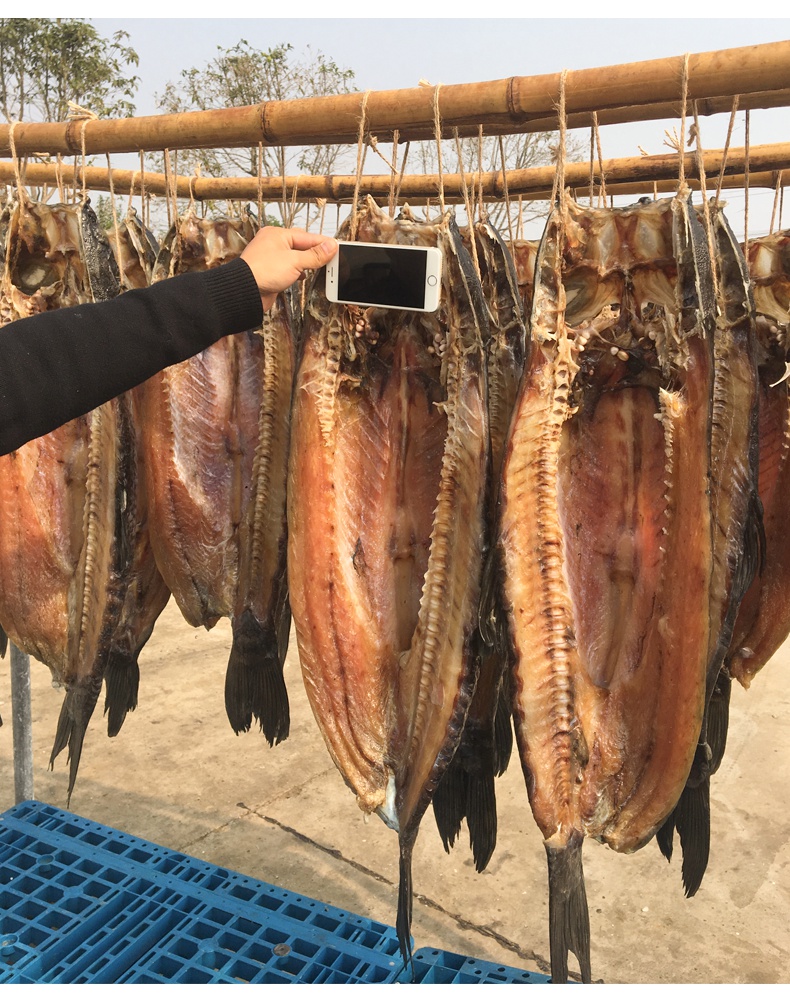 520礼物送女友湖北腊鱼风干草鱼农家青鲩咸鱼青鱼阳干鱼整条腌鱼腊货