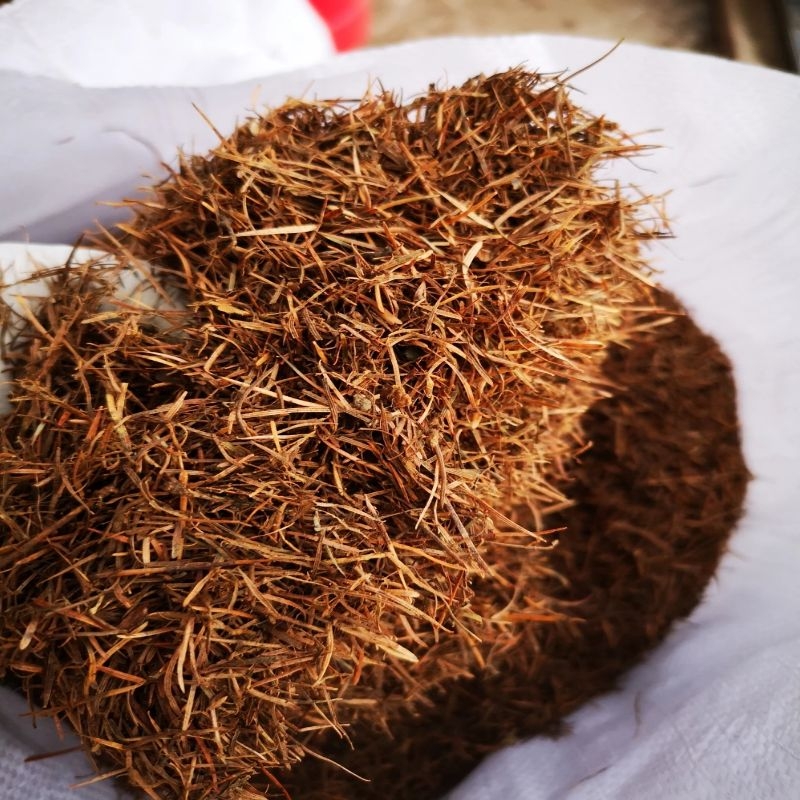 长白山纯松针腐熟松针土腐叶土营养土酸性君子兰兰科专用土腐殖土 纯