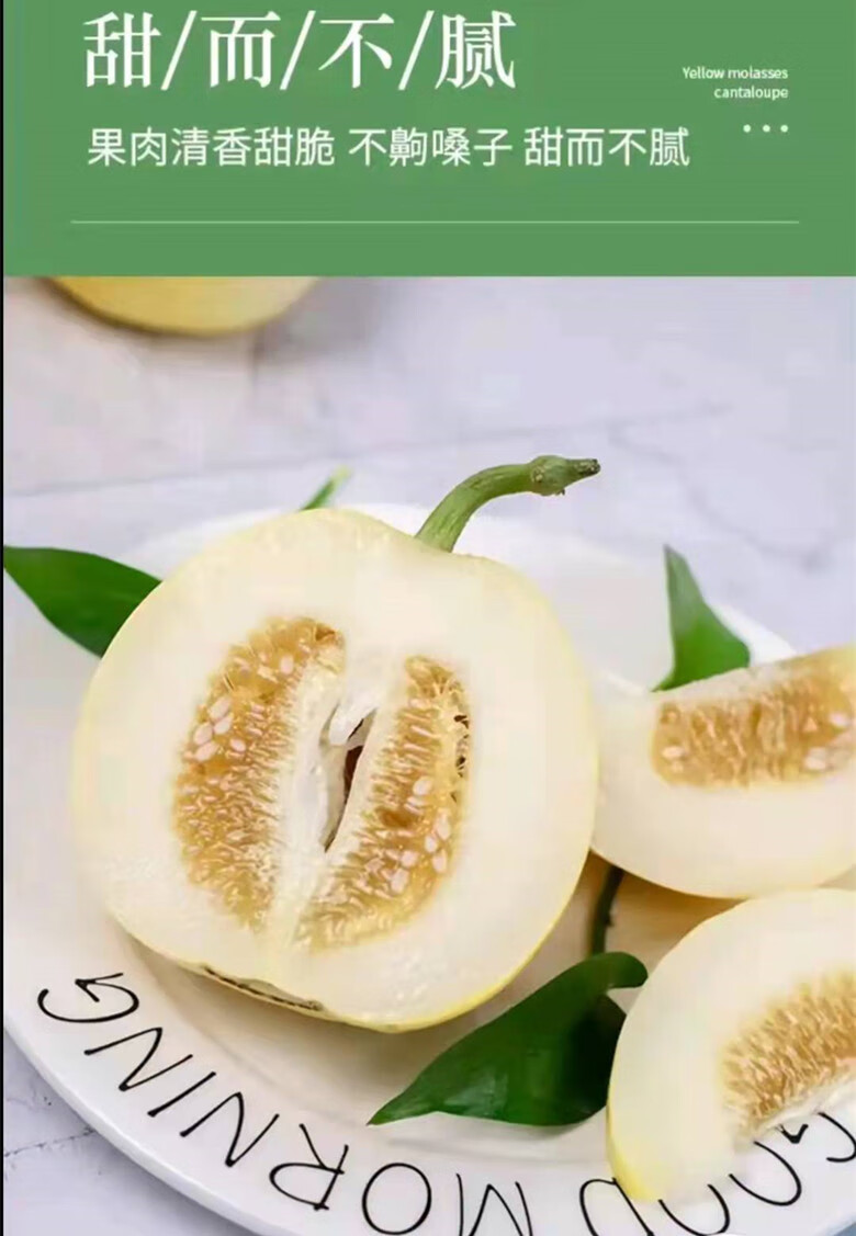 素界现摘新鲜星甜20甜瓜小蜜蜂蜜罐甜瓜脆甜香瓜应季山东5斤精选大果