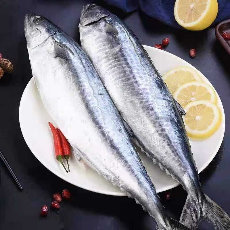 马鲛鱼鲅鱼当天上岸可食 马鲛鱼1斤【图片 价格 品牌 报价】-京东