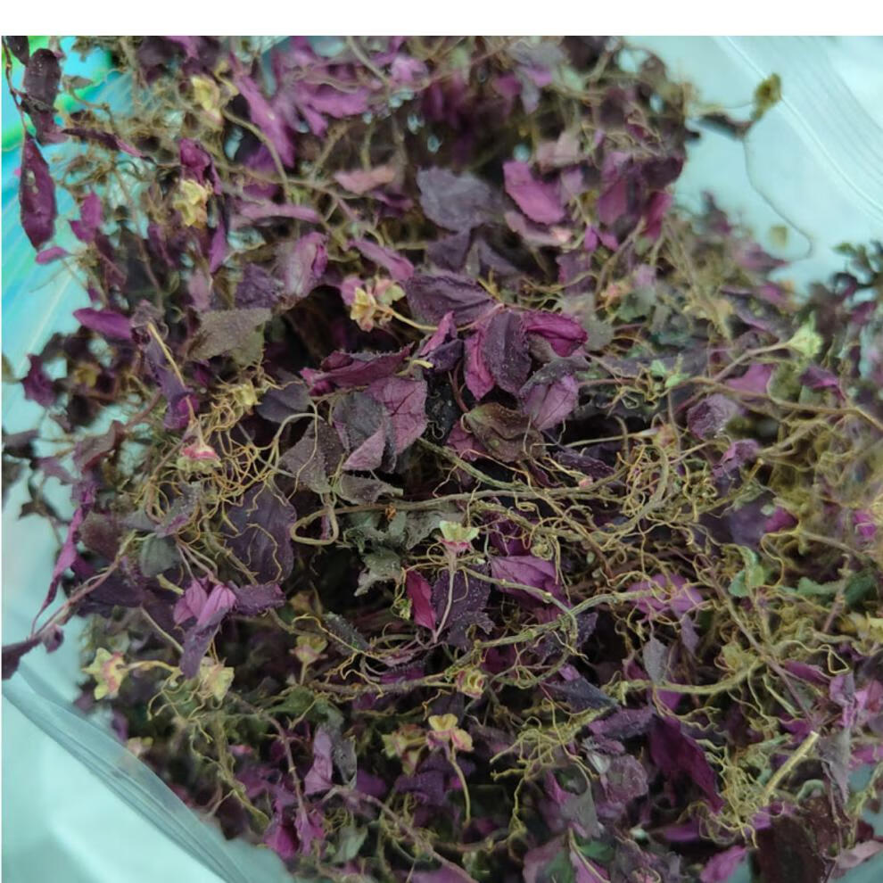 风柜斗草楮头红风鼓草风骨草风谷草新货高品质正宗味道酸绿叶250g