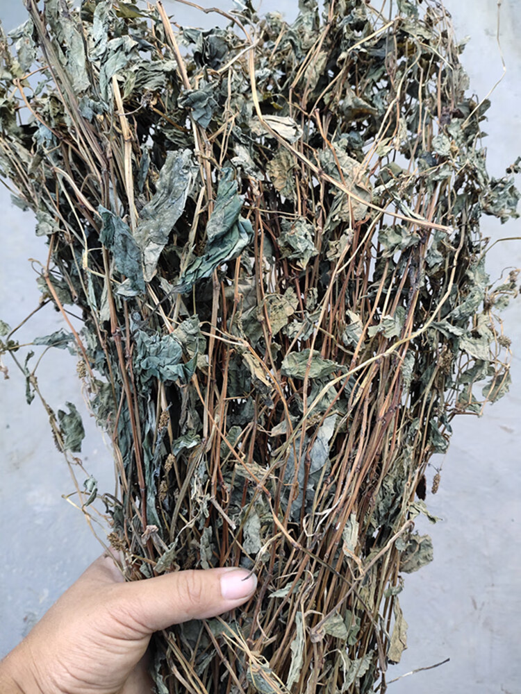 广西鱼腥草500g新货干货农家自晒中草药拆耳根鱼星草泡茶凉茶 草泡茶