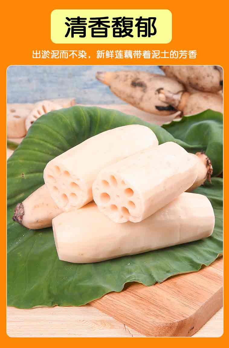 jd物流现挖莲藕脆嫩蔬菜新鲜农家菜当季自种脆莲菜整箱批发非洪湖粉藕