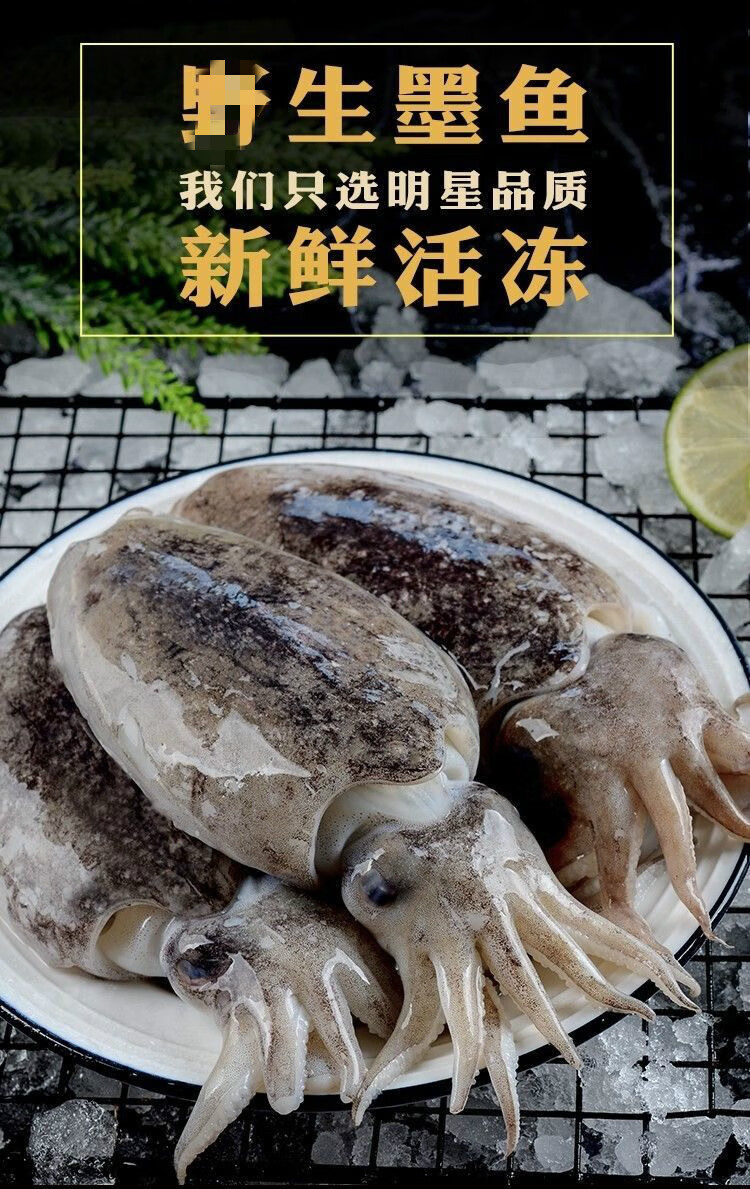 墨鱼目鱼乌贼鱼大墨鱼新鲜大号墨鱼鲜活墨斗鱼新鲜墨鱼墨鱼仔海鲜 4斤