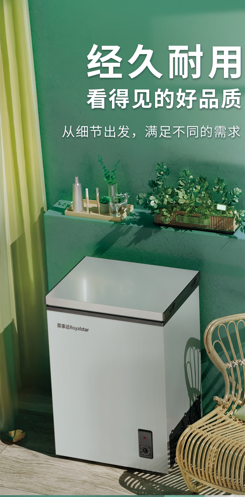 荣事达小冰柜家用全冷冻柜小型一级节能冷藏保鲜两用迷你单温区冷柜