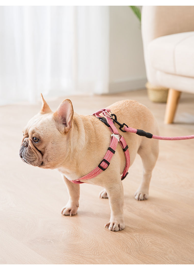 泰迪柯基幼犬小型犬狗链宠物项圈绳子红色牵引绳胸背带s建议体重815斤
