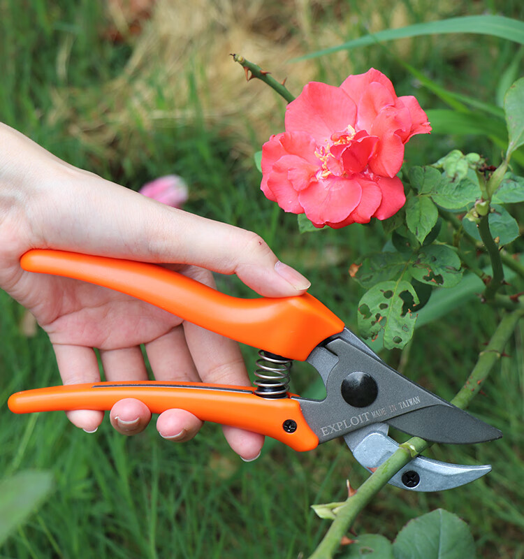 园林剪刀园艺剪sk5修枝剪果树嫁接剪刀粗枝剪树枝花木修剪工具升