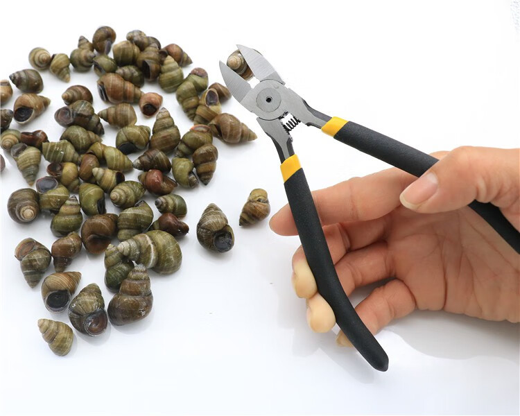 工具旗舰店商品编号:10044032373024商品名称:定制剪田螺去尾钳夹螺蛳