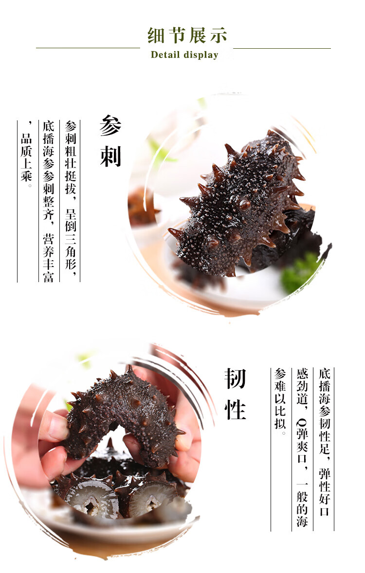 渤海湾辽刺参即食海参批发鲜活海参 1斤 10-15只/1斤【图片 价格 品牌