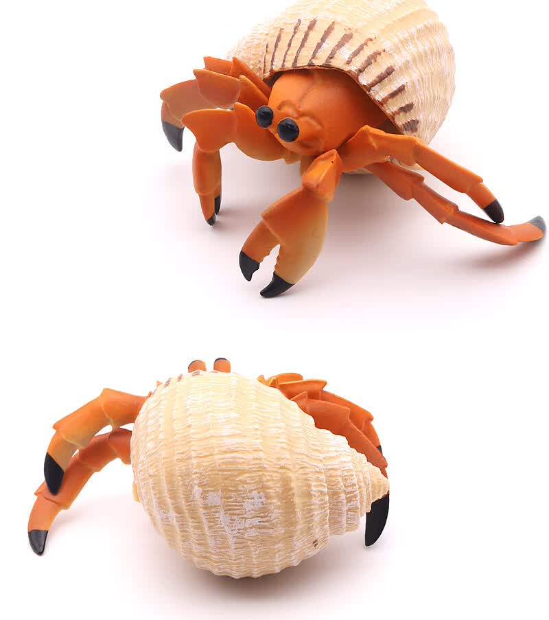 帝王蟹模型仿真螃蟹模型梭子蟹玩具寄居蟹蟹儿童中华鲎海洋生物螃蟹