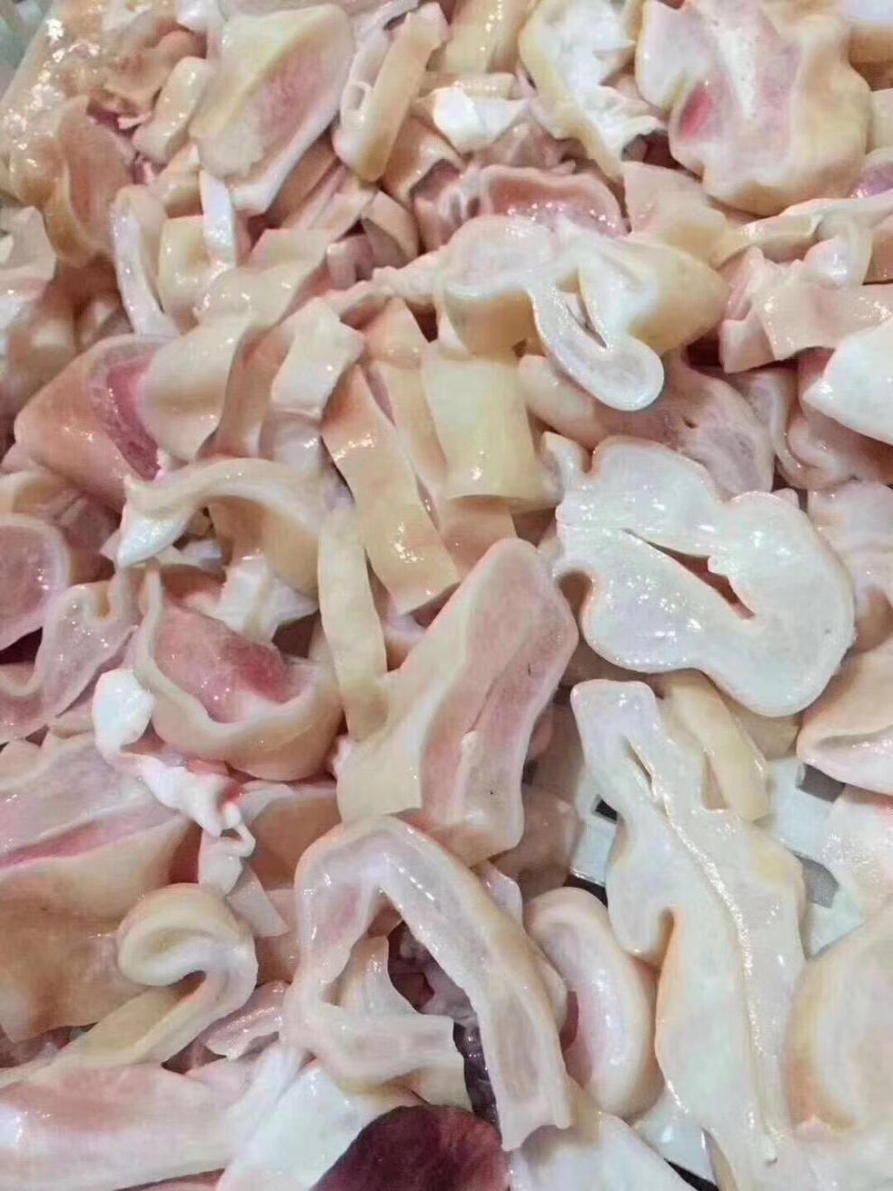 鲨鱼肚海鲜海八珍花胶鱼胶天然鱼肚营养美味新鲜鲜冻昌