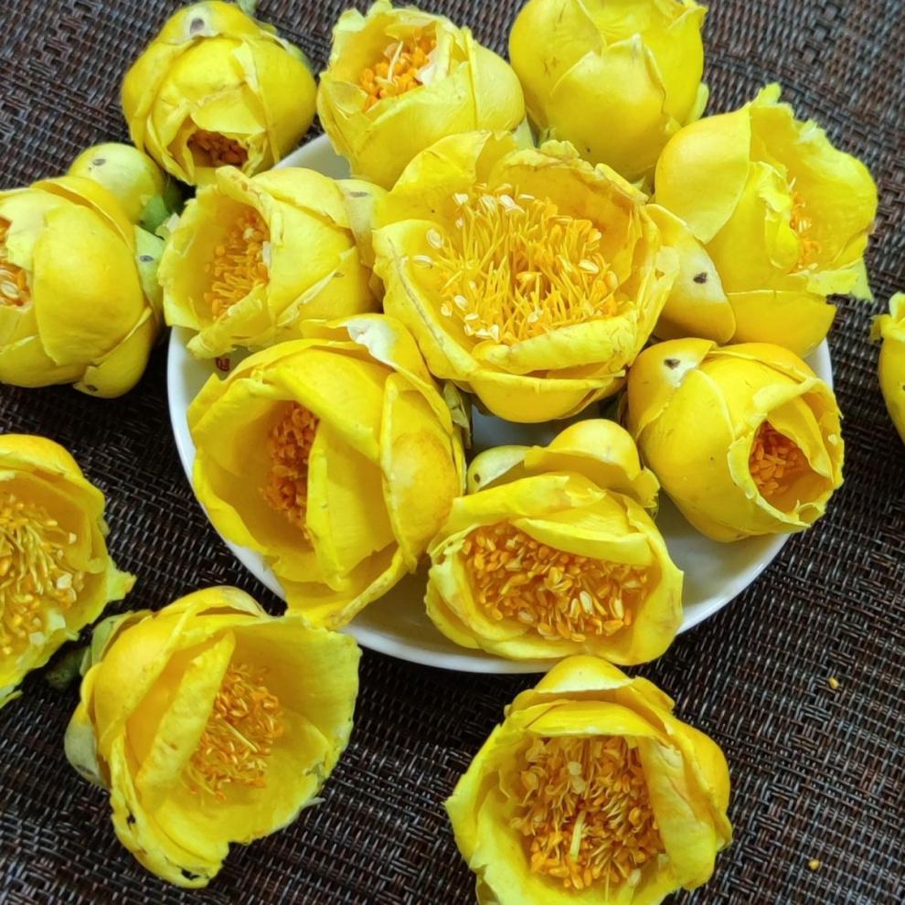 2022新货广西金花茶防城港金花茶防普冻干花茶干花 50克瓶装【图片