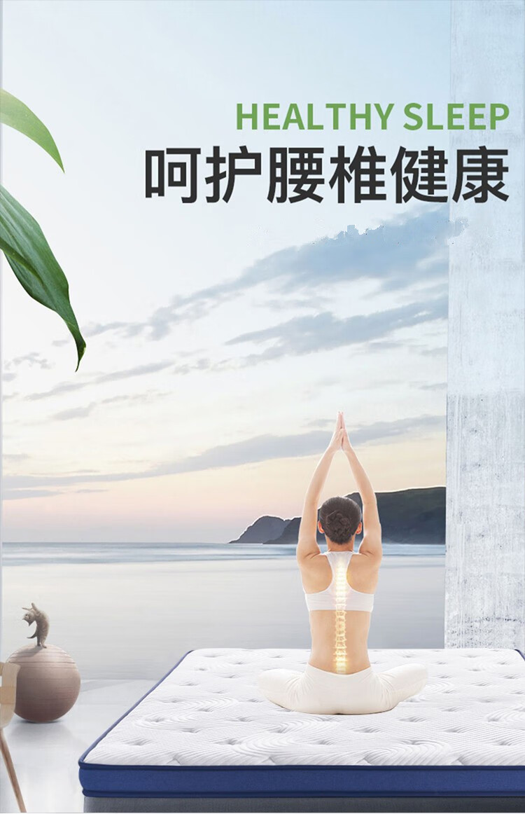 海马椰棕床垫硬垫1.5米护脊椎1.8m偏硬1.2米折叠定制薄棕垫榻榻米可定做 6cm厚=(3E环保椰棕+针织面料) 100cm*190cm