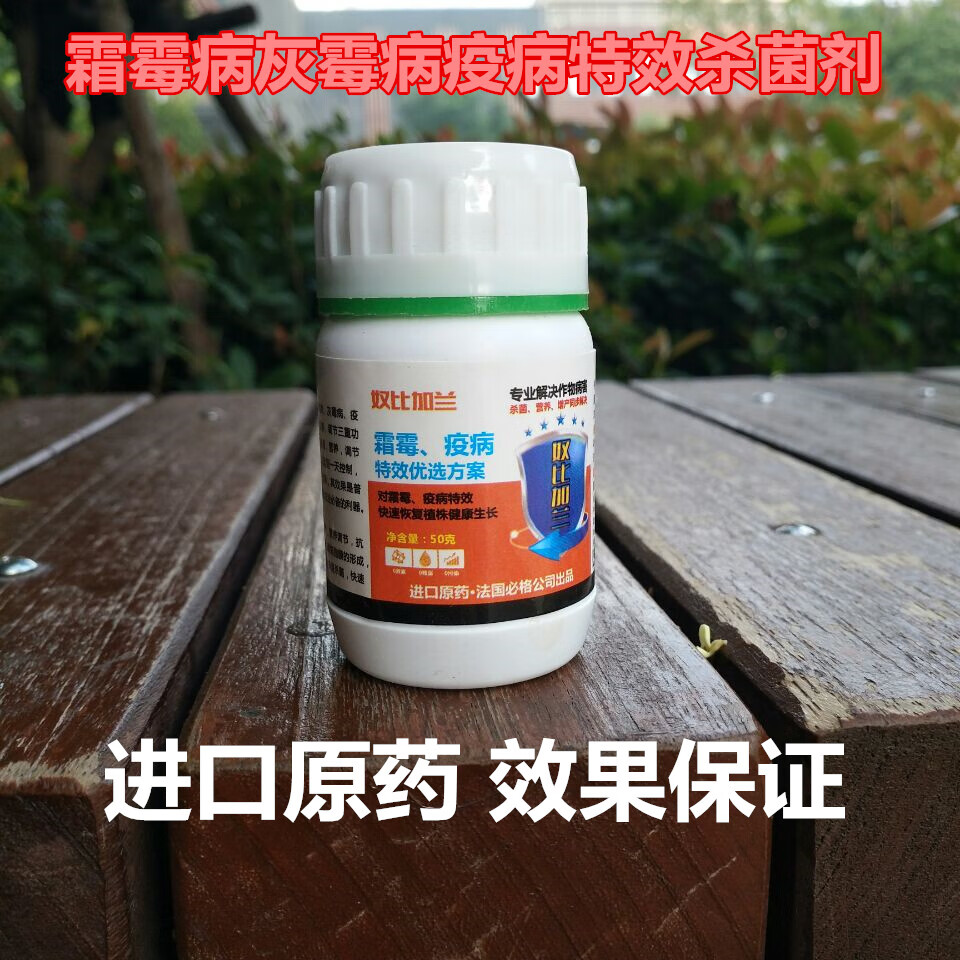 草莓灰霉病霜霉疫病专用药叶斑病白粉病番茄子黄瓜辣椒剂奴比加兰50克