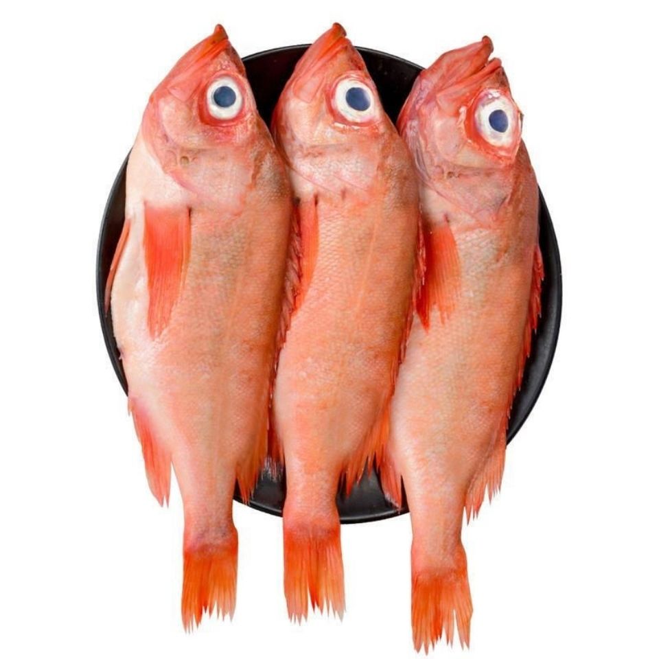 大眼鱼图片营养价值图片
