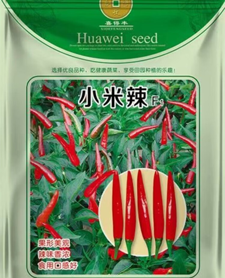 小米辣种子辣椒种籽朝天椒椒泡椒种子四季阳台盆栽蔬菜种孑苗约100粒1