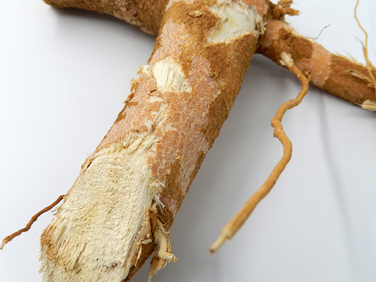 臭椿天根 椿树根 香椿树根 椿根中药材500克一斤椿白根春树根【图片