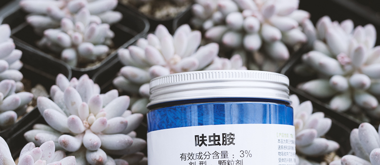 3呋虫胺内吸式小白药多肉介壳虫防虫药花卉小黑飞通用杀虫剂yj550g瓶