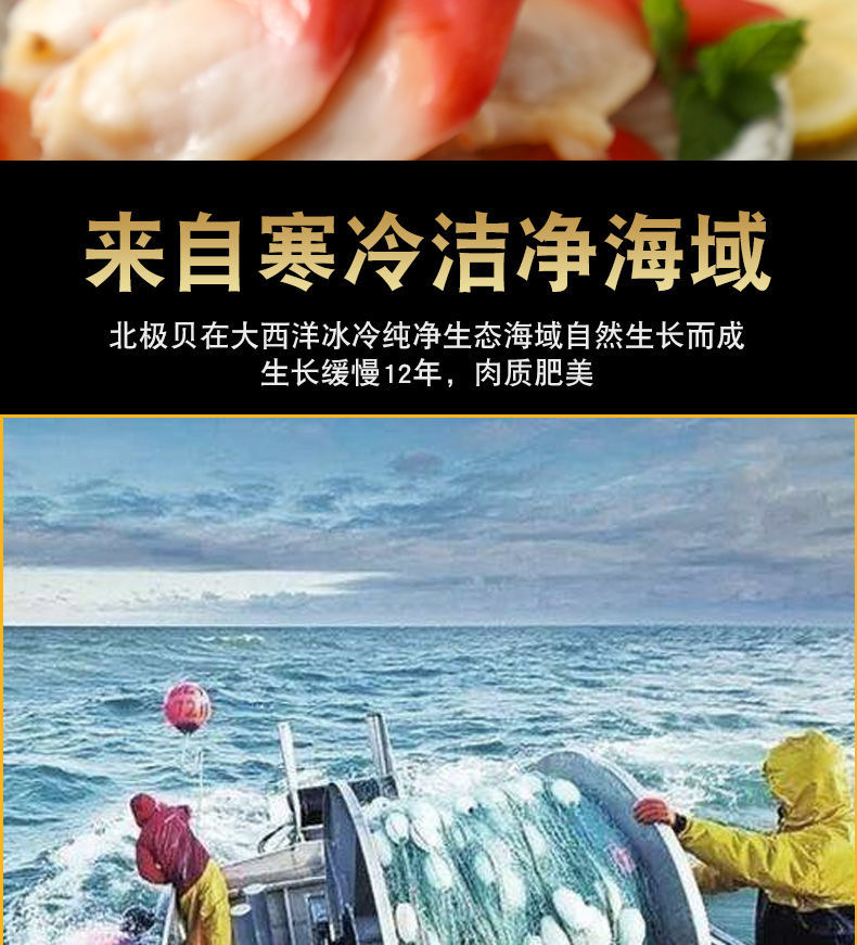 【顺丰】精品切片北极贝 刺身切片即食 寿司日式料理 生吃生鲜贝类