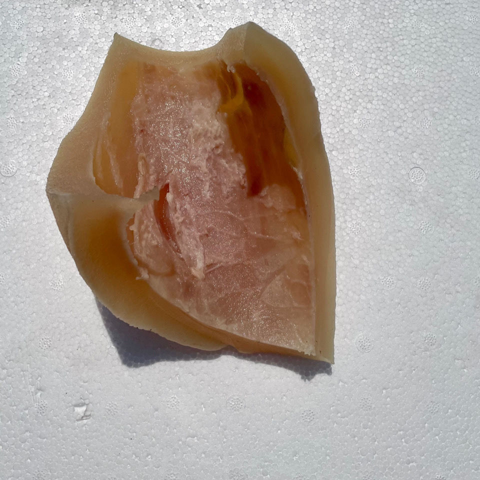 全熟牛皮肉麻辣牛皮牛头皮牛杂肉整块新鲜牛皮批发烧烤火锅食材 头号