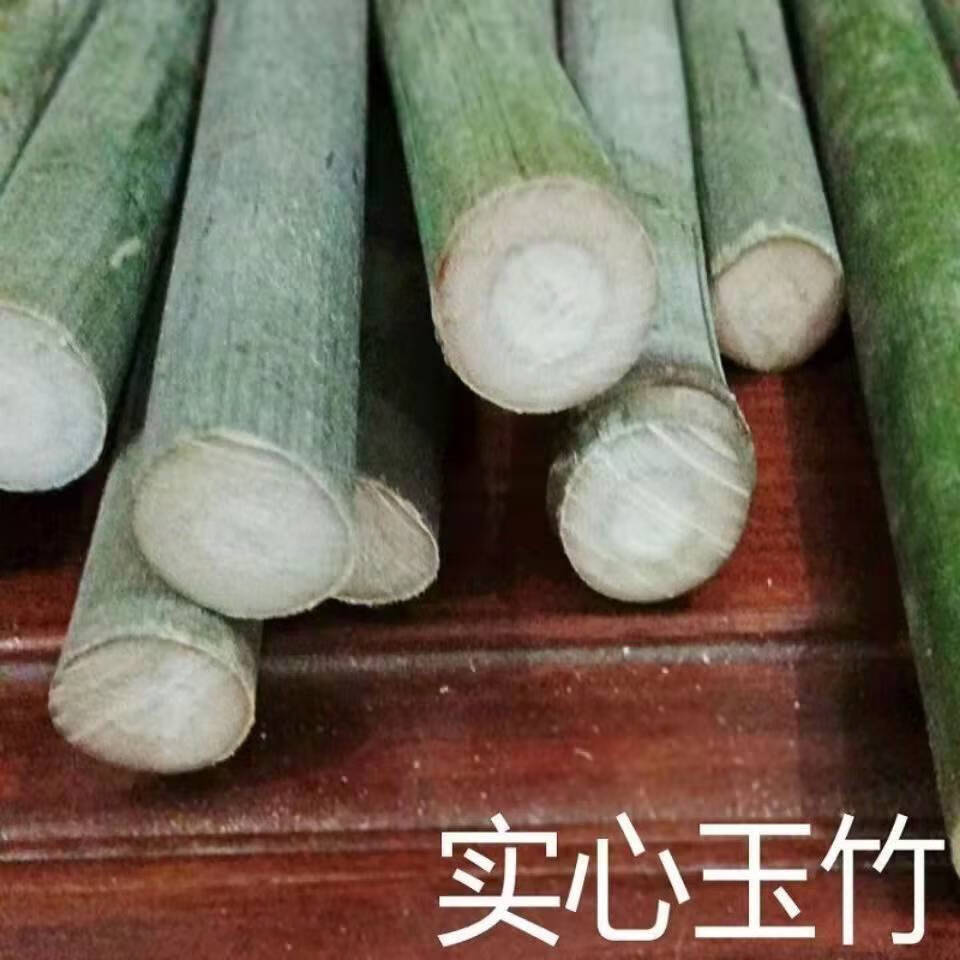 江影清实心竹绿化竹子苗实心文玩玉竹苗好成活盆栽庭院四季常青地栽