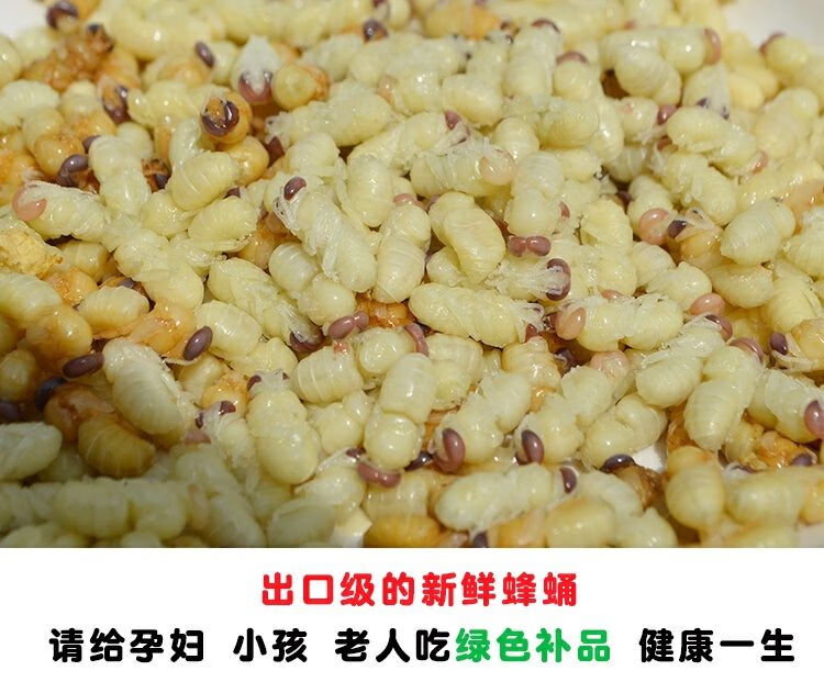 雄蜂蛹蜂蛹蜂蛹即食蜂场自产雄蜂蛹蜜蜂幼虫350只每份50g