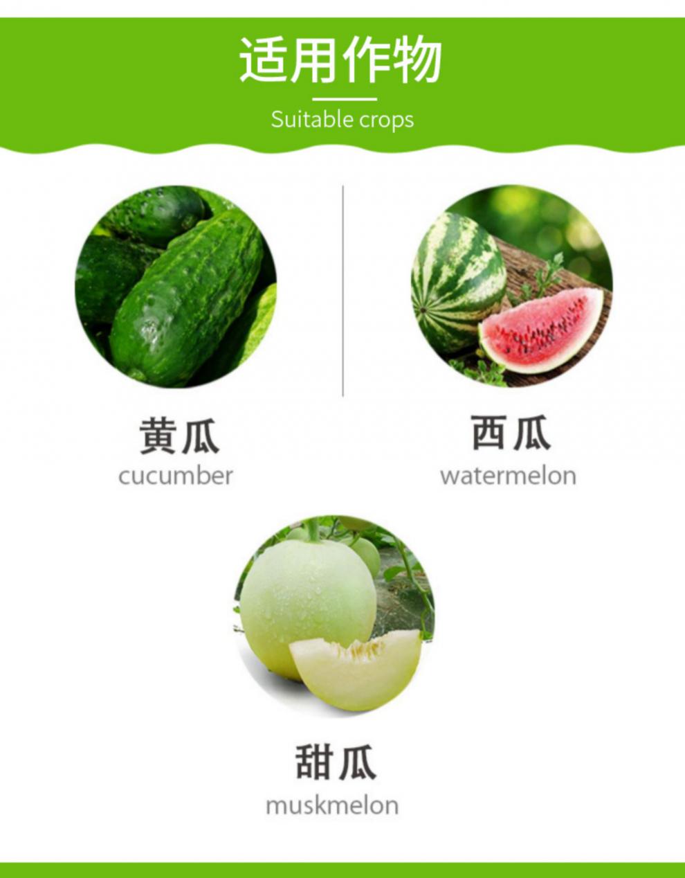 座瓜灵01氯吡脲坐果药黄瓜甜瓜西瓜类专用点花授粉药座果增产10ml