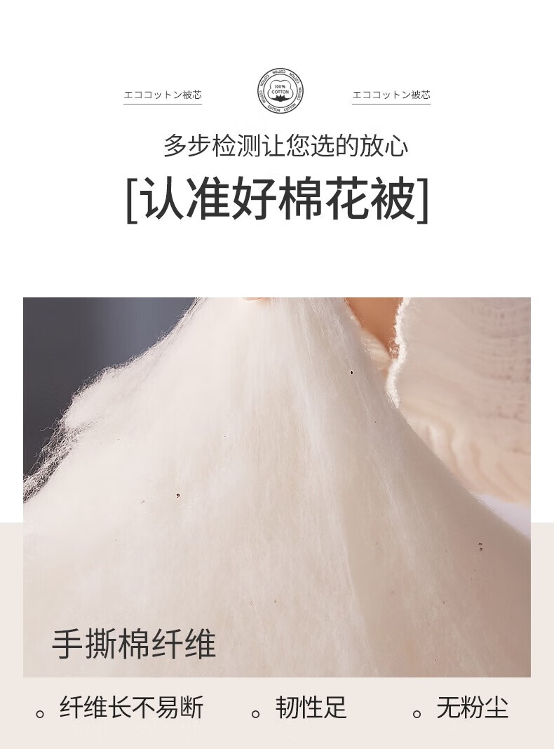 a85d99867a603f12.jpg