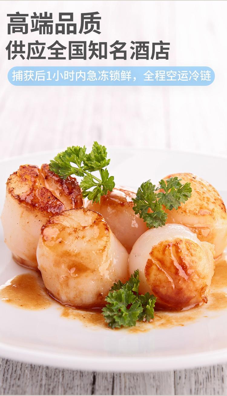 海鲜带子瑶柱 鲜贝瑶柱 刺身新鲜扇贝柱 冷冻超瑶大贝柱 超大贝柱一斤