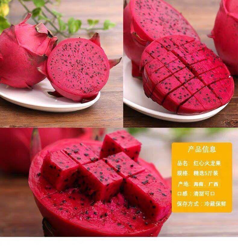 现摘金都蜜宝火龙果红心非白心一箱批发整箱当季新鲜水果235斤龙特大