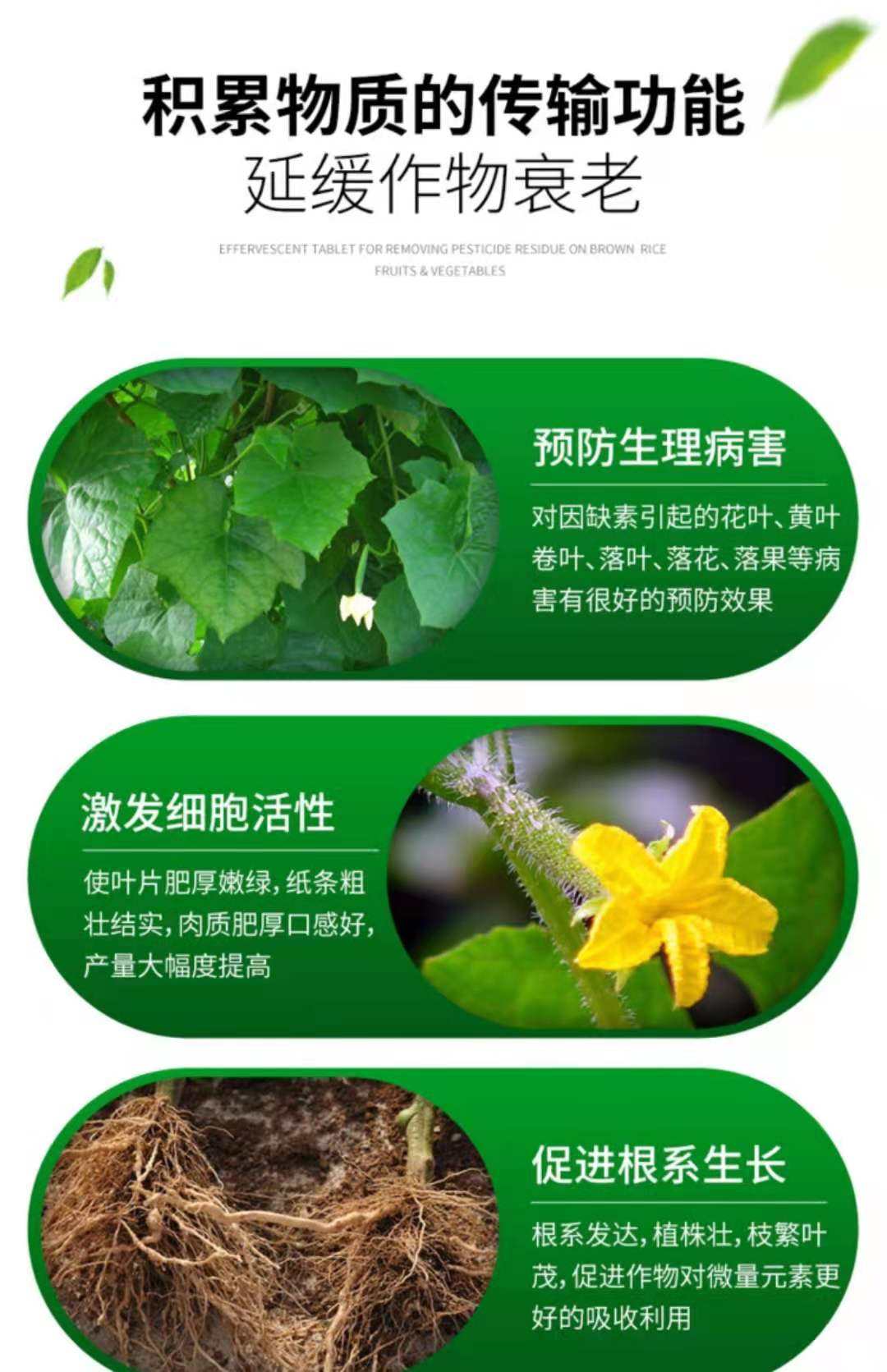 辣椒拉长拉直膨大素豆角嫩直长黄瓜拉直灵丝瓜茄子拉长拉直膨大剂拉长