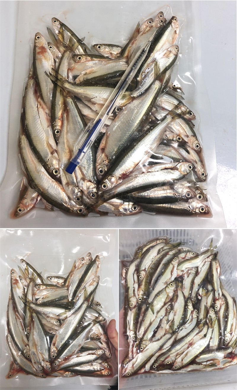 鲜活现杀刁子鱼小白条鱼小白鱼新鲜小鱼小餐条小杂鱼大菜园淡水鱼3斤