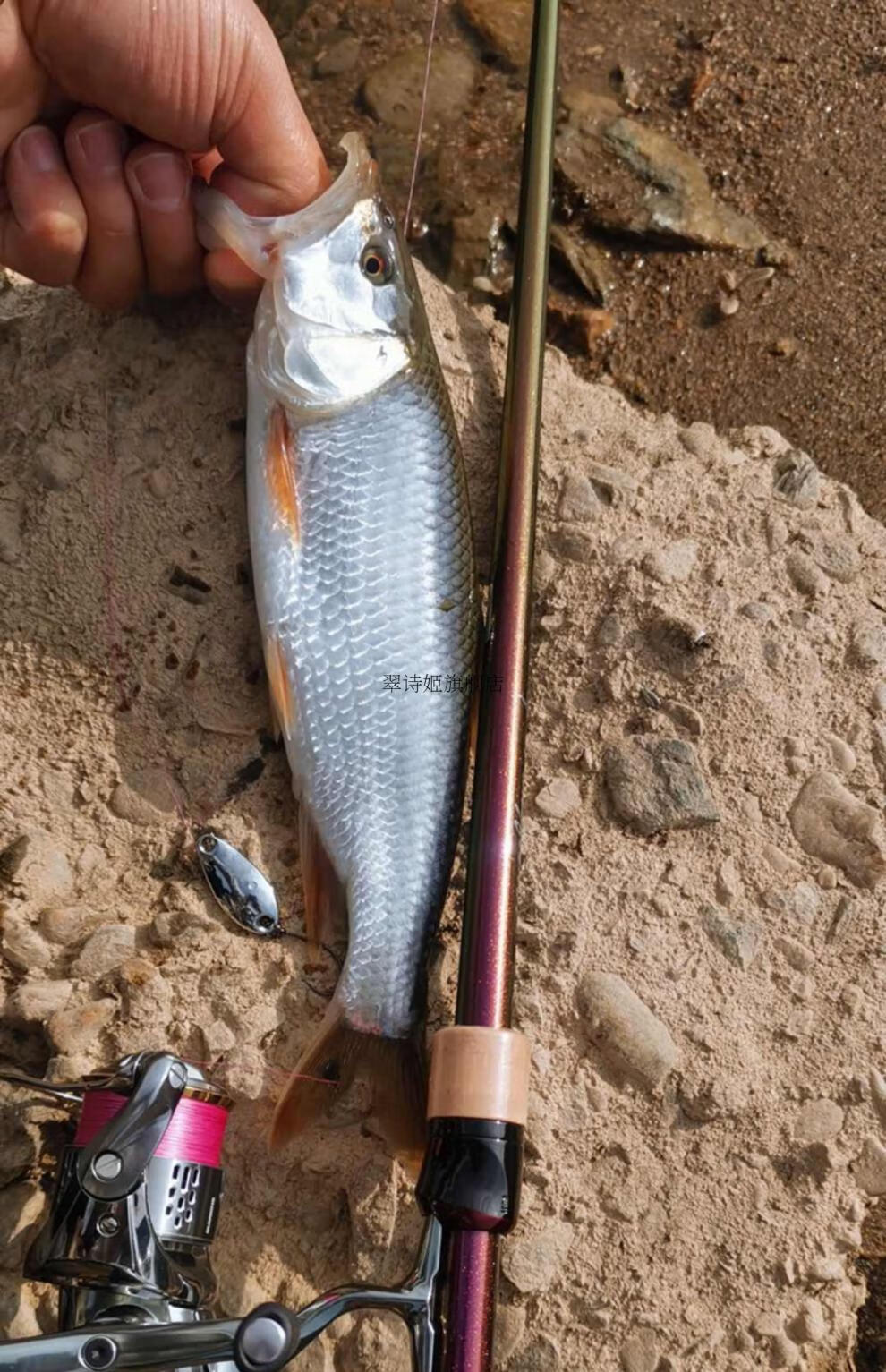 翠鸟路亚竿榜大锥高感度虫杆快钓鳜鱼富士导环a环ul微物轻l 1.