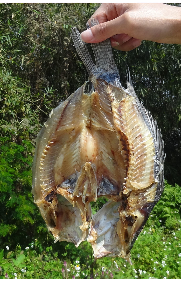 35斤罗非鱼淡盐生晒金凤鱼广东特产罗非鱼农家自制鱼干干货1750g