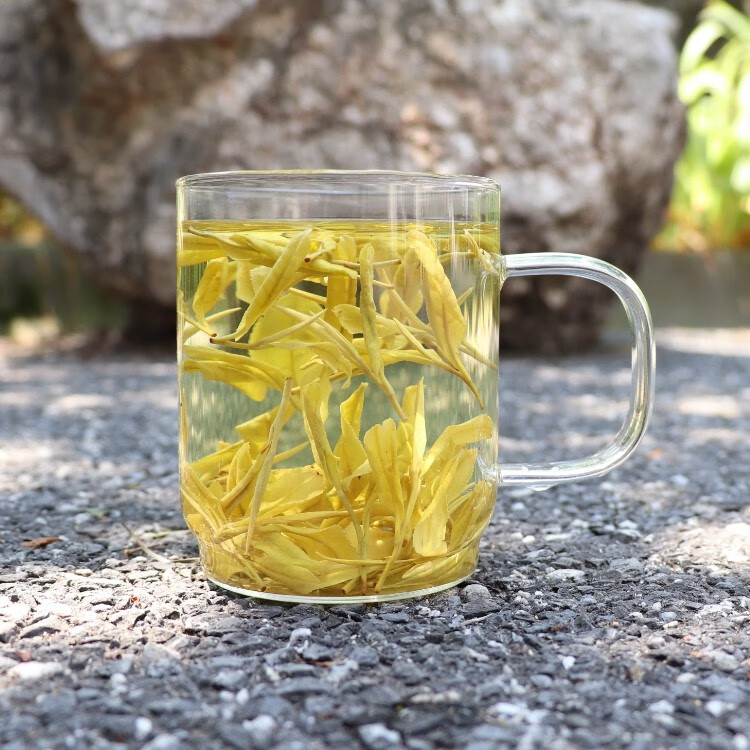 【优选】2021新茶黄金芽一级白茶安徽黄金茶250g装黄金芽散装茶安徽春