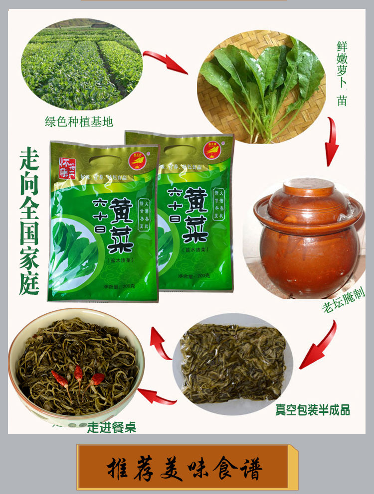 肇庆六十日黄菜 广东特产怀集六十日黄菜老坛腌制农家酸菜下饭菜甘洒