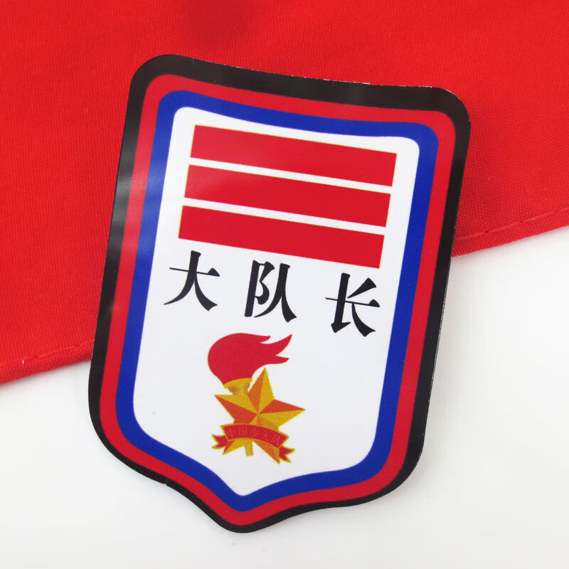 婕染小学生中小大队长臂i章干部标i志学校用品队袖标i大队委10枚装
