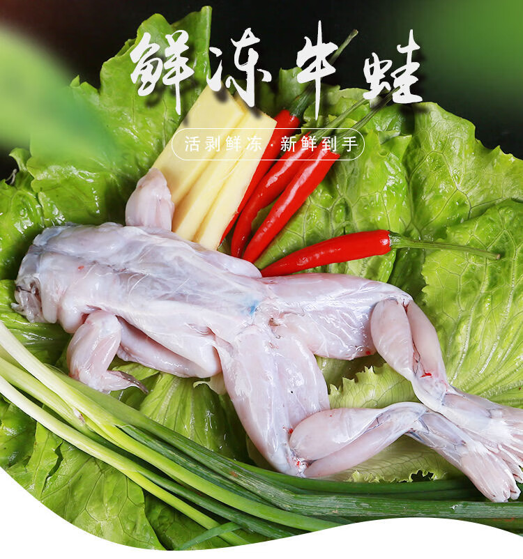 现杀牛蛙新鲜大青蛙肉美味冰鲜腿麻辣干锅美蛙烧烤1-5斤 2斤