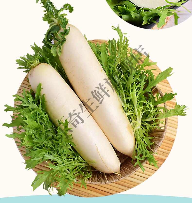 新鲜白萝卜当季蔬菜长萝卜大萝卜水萝卜5斤白萝卜