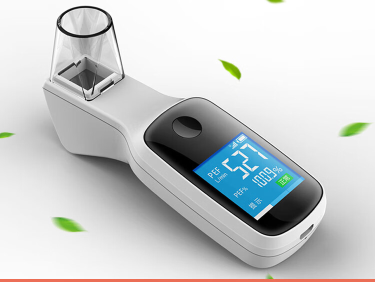吸家手持肺功能检测仪电子峰流速仪流量计哮喘肺活量检测仪辅助电子