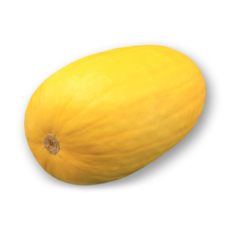 崇明岛新鲜金丝绞瓜搅瓜凉拌天然海蜇瓜时令瓜5-6斤 2斤【图片 价格