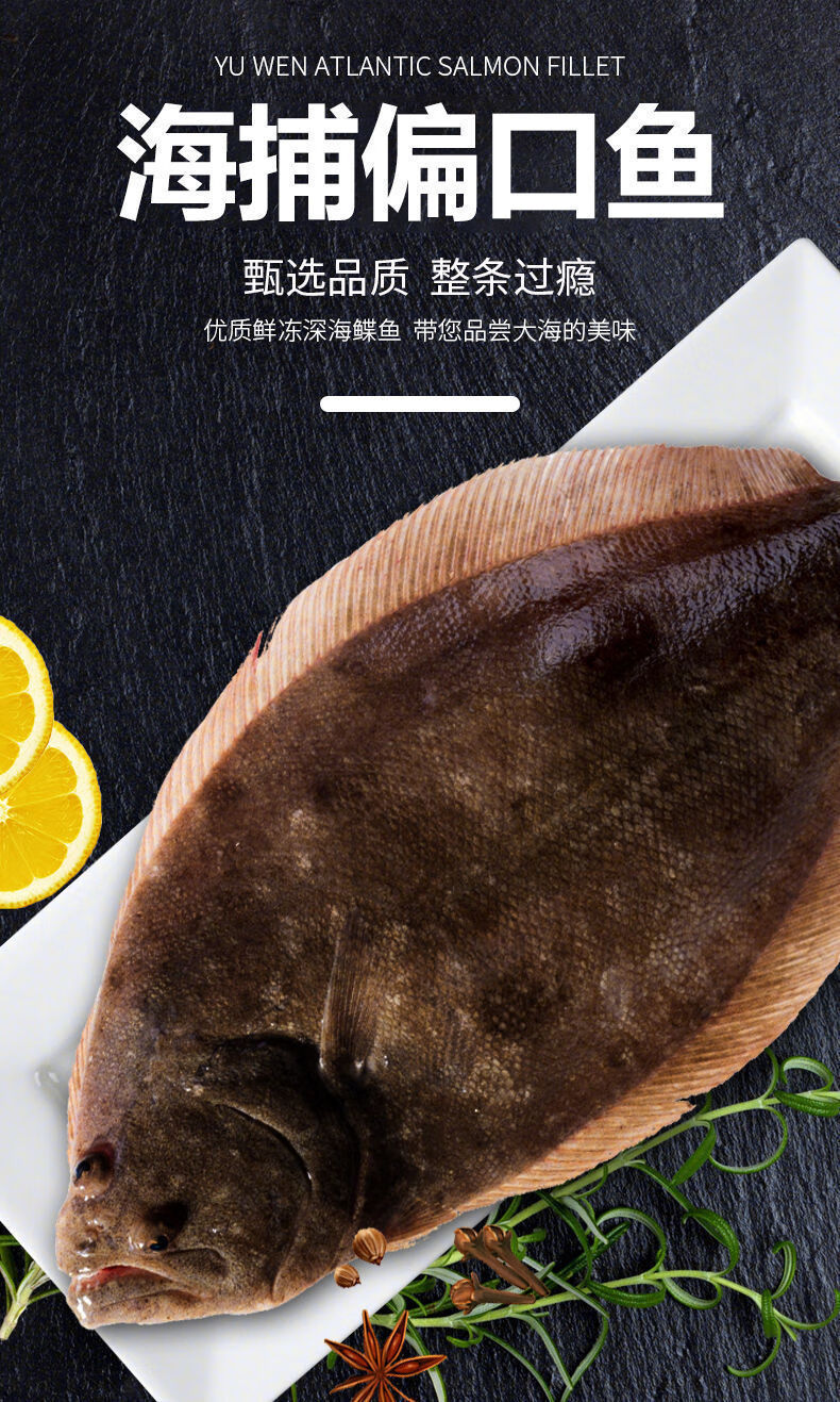二三王牛青岛偏口鱼鲽鱼整条海鱼新鲜深海鱼鼓眼鱼海鲜批发精品偏口鱼