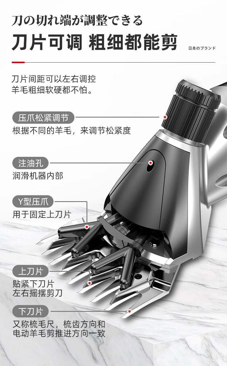 8ebe602015de21c4.jpg