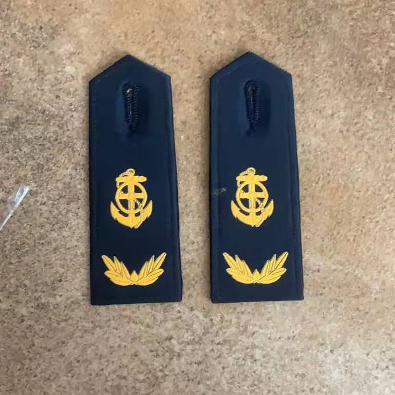 新交通标识臂章肩章交通路政臂章领花金属帽徽 金属帽徽