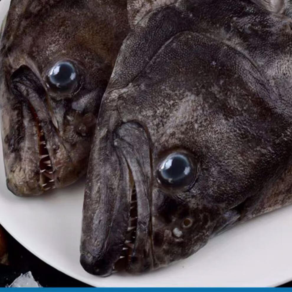 新鲜急冻鸦片鱼头碟鱼头鲽鱼头国产海鲜比目鱼头个大新鲜美味112斤只