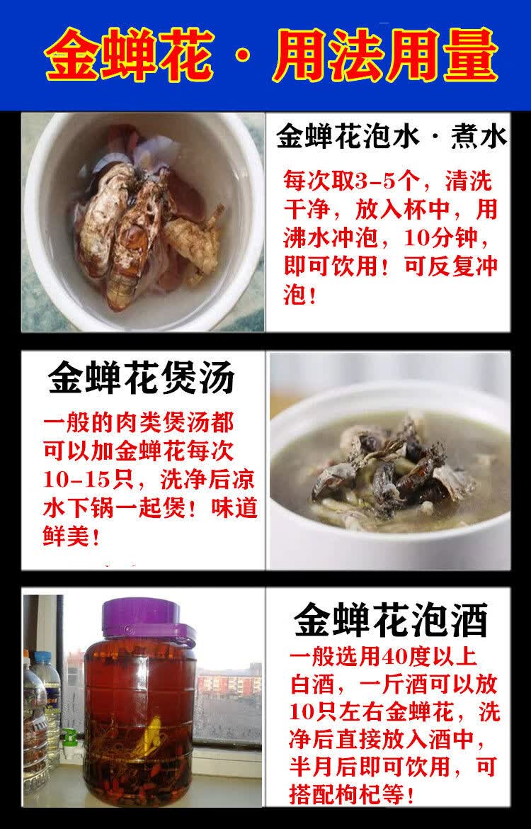 大别山区金蝉花竹林蝉花土蝉花金蝉花新货蛹虫草金蚕花50只装