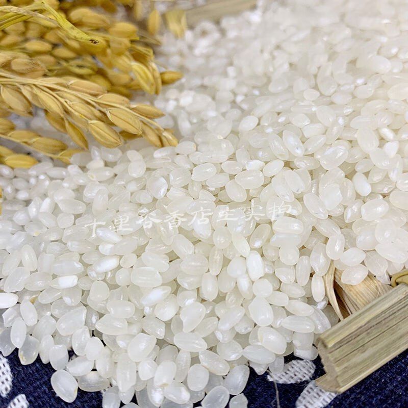 斤南梗46梗米5kg10kg鸭田生态香米宝宝老人专用农家软糯米20斤南粳46